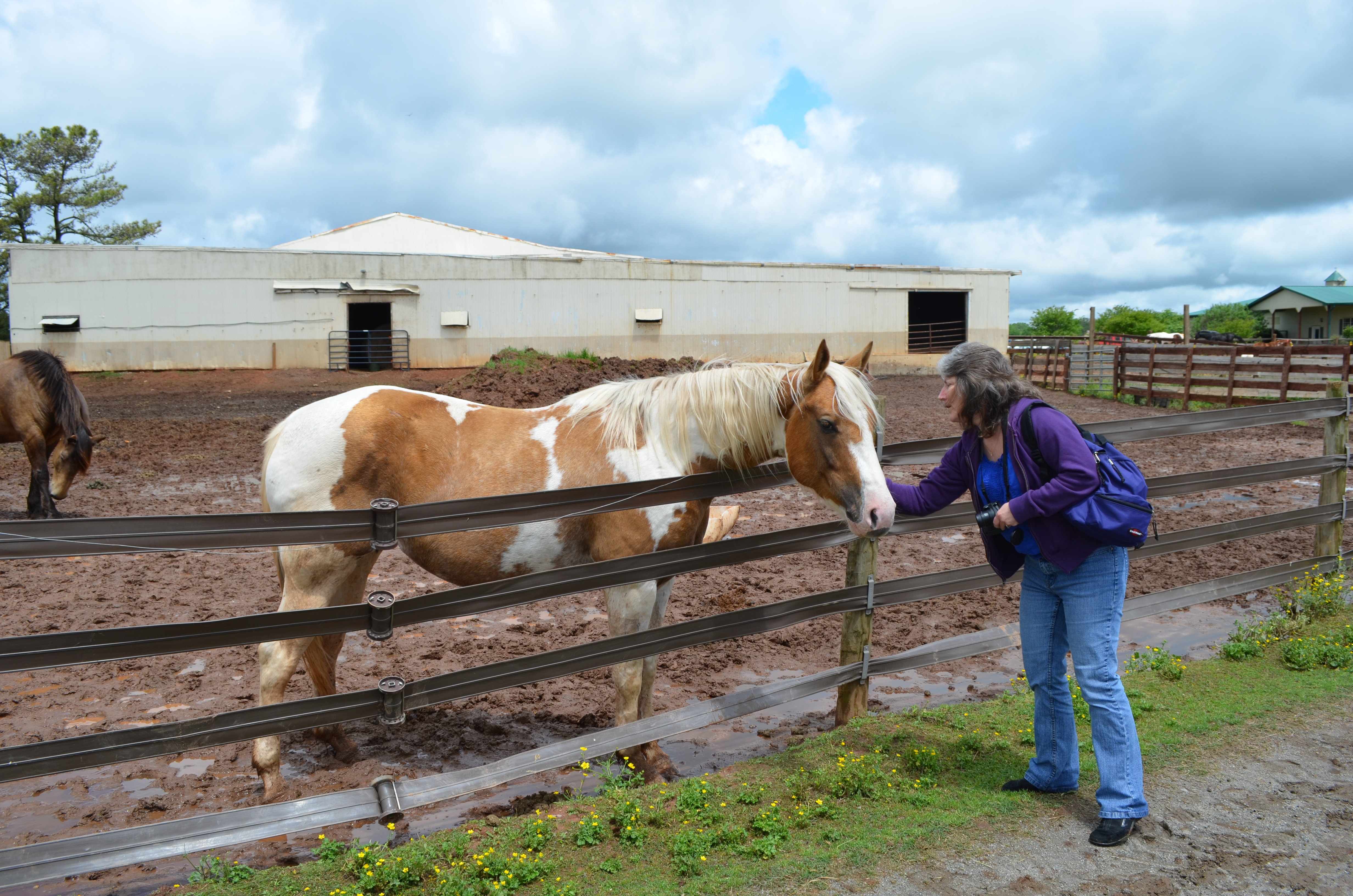 ./2013/Southern Cross Ranch/DSC_2342.JPG